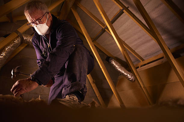 Best Insulation Maintenance and Repair in Oak Park, IL
